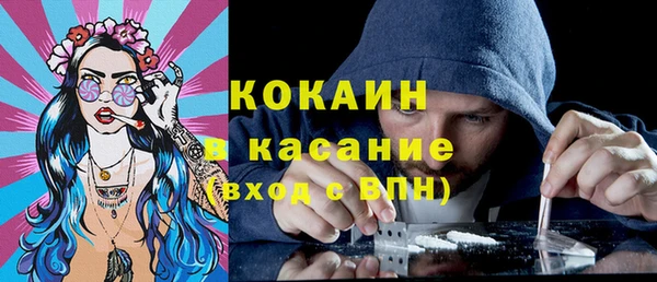 спиды Богданович