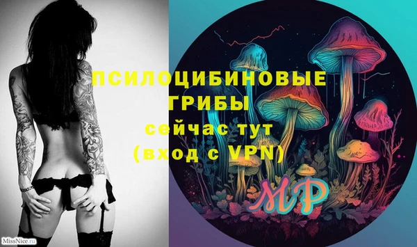 Альфа ПВП Богородицк