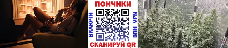 как найти закладки Нижний Новгород Бошки марихуана индика
