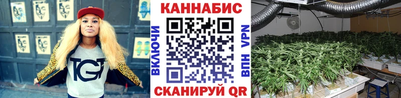 Бошки марихуана ГИДРОПОН Нижний Новгород